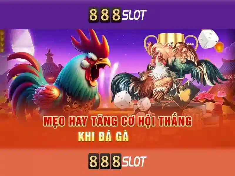 ratu slot 888 login – Khám phá nền tảng và trải nghiệm