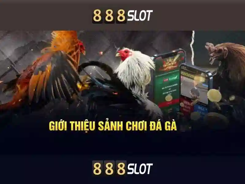 Nguồn gốc từ ngữ và sứ mệnh