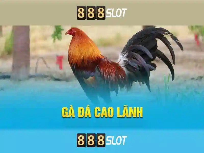 888Slot – Đánh giá nền tảng casino slots trực tuyến