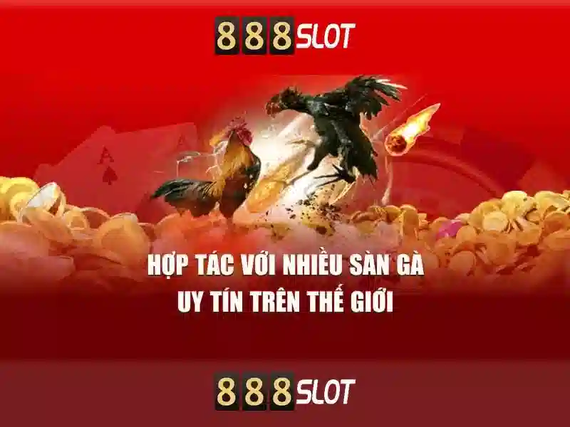 Sản phẩm và dịch vụ chính: ứng dụng thực tế của 888 slot 77
