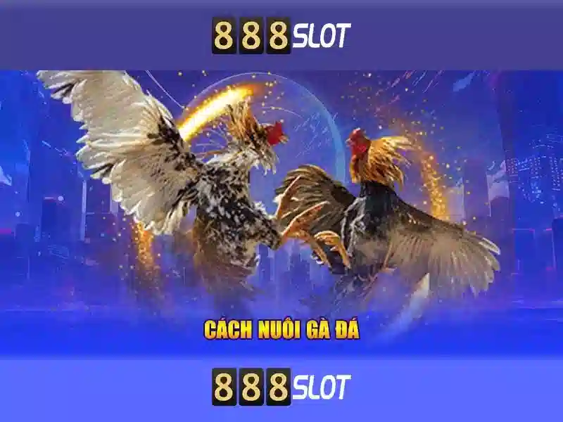 Phản hồi cộng đồng về 888slot freebet