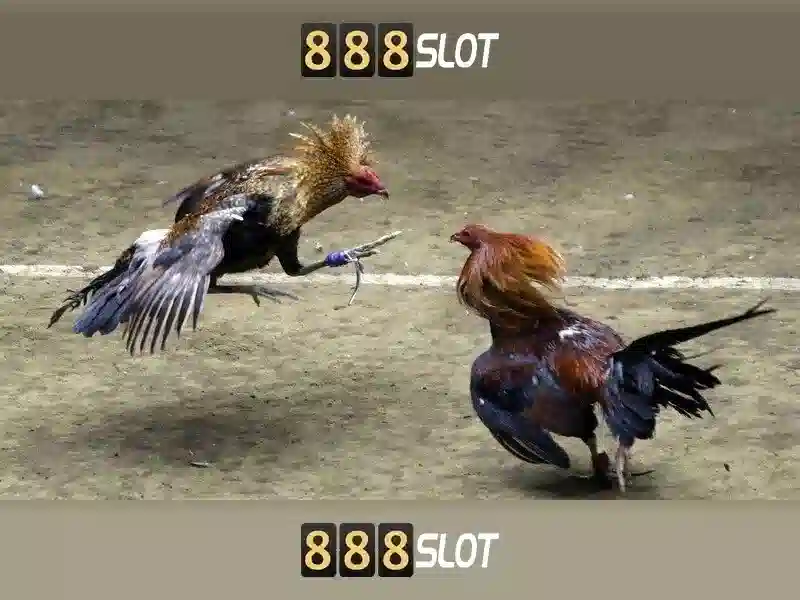 abc 888 slot: Trải nghiệm đỉnh cao và đổi mới game