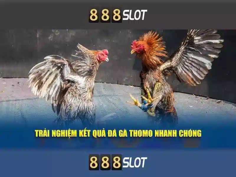 Giới thiệu về 888slot
