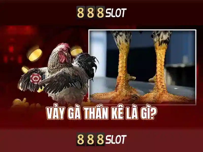 888slot - Đánh giá tổng quan và trải nghiệm người chơi