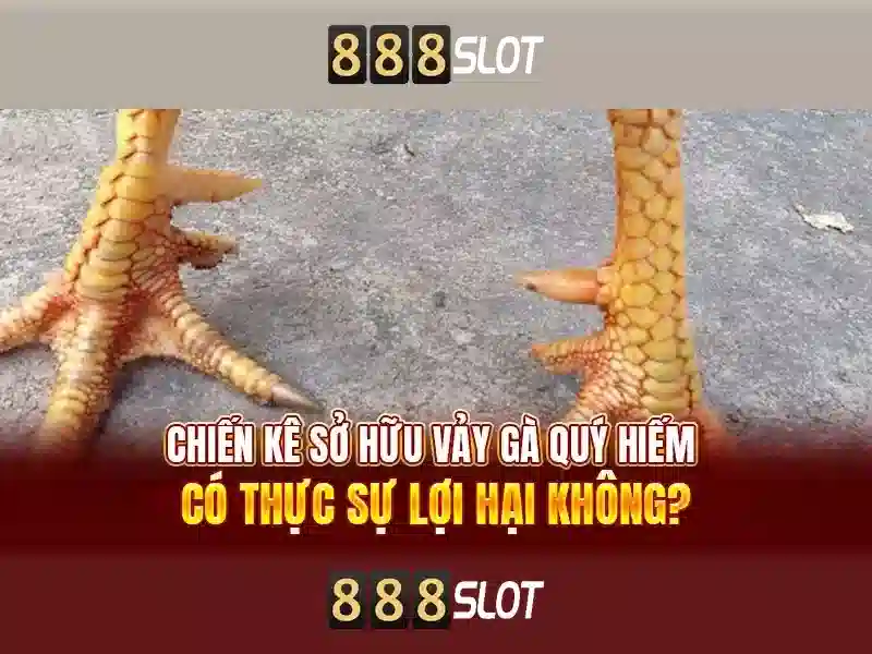 An toàn và thanh toán