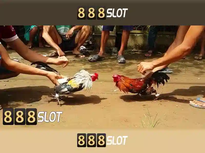 Danh mục trò chơi và tính năng