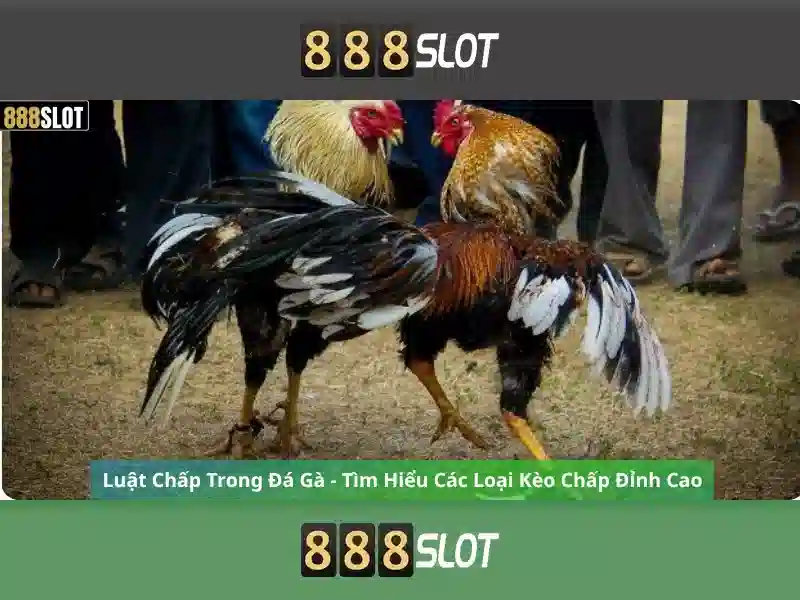 An toàn và thanh toán