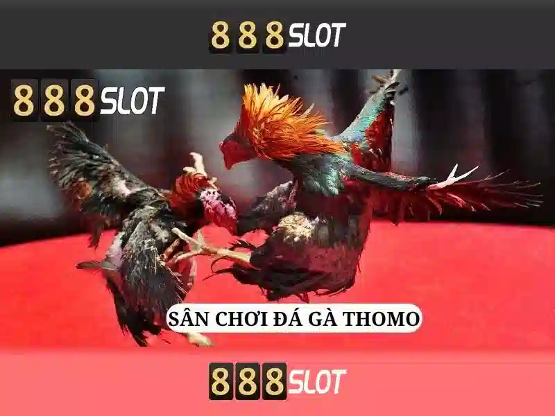 888slot - Đánh giá và Trải nghiệm Người chơi