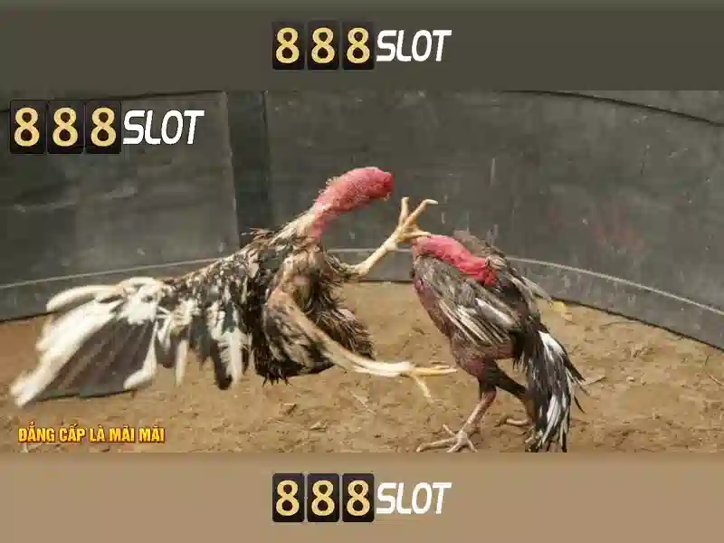 888Slot – Đánh giá nền tảng casino slots trực tuyến