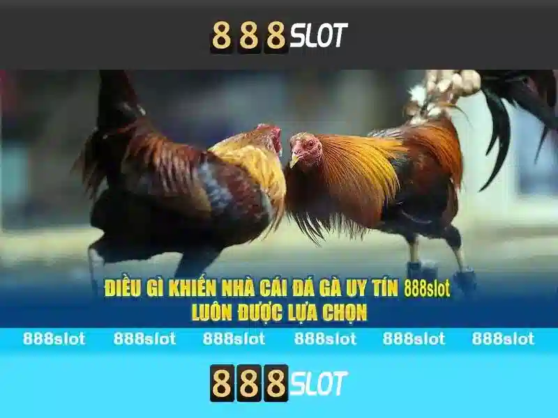 slot gratis 888: Khám phá trải nghiệm và tiềm năng