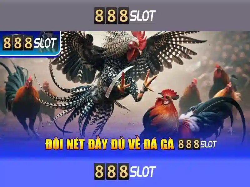 888slot: Nền tảng casino trực tuyến nổi bật