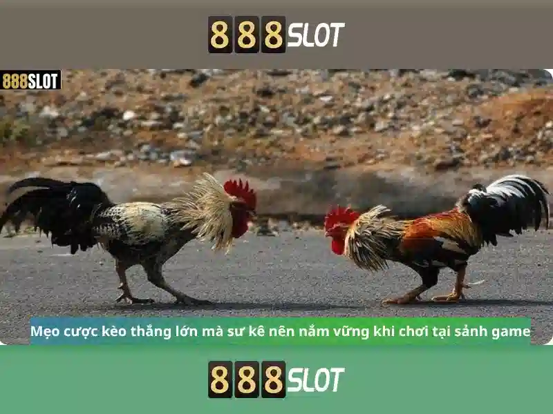 Giới thiệu về 888slot