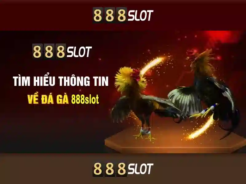 888slot: Đánh giá, trò chơi và trải nghiệm người dùng