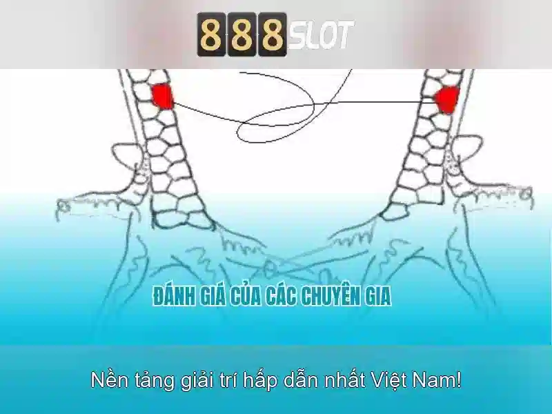 888slot – Cổng trò chơi slot trực tuyến hàng đầu tại Việt Nam