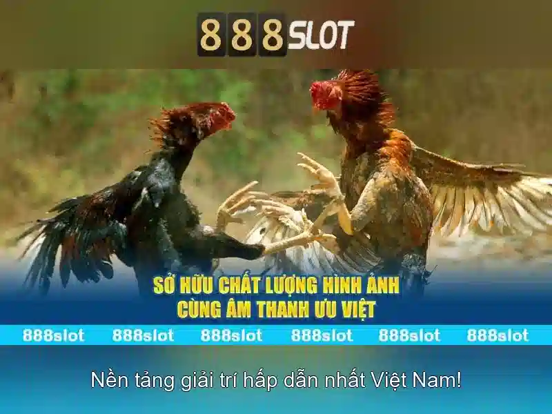 Kết luận và cách tham gia