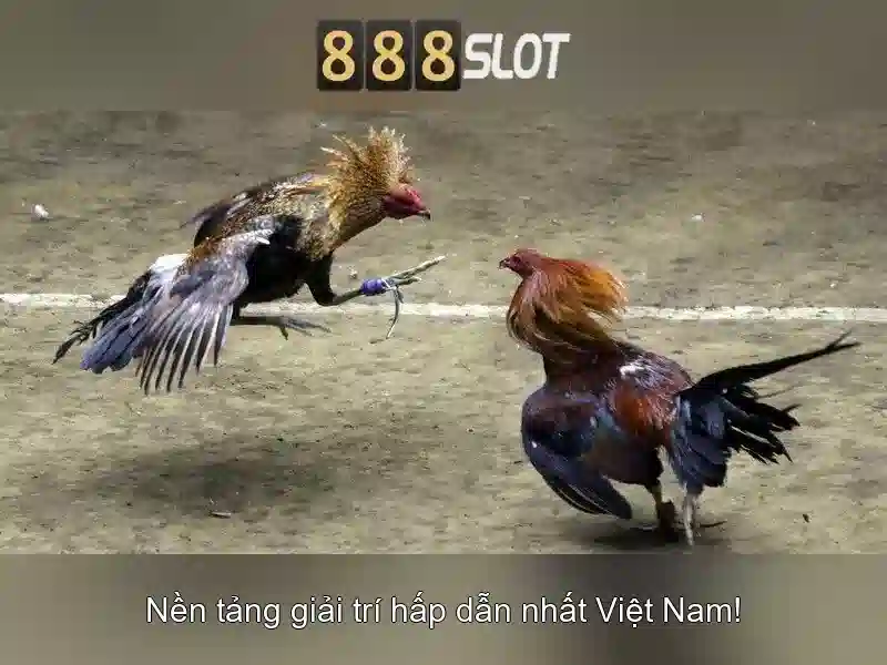 Các trò chơi và giao diện