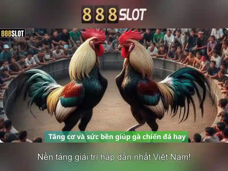 An toàn, thanh toán và bảo mật