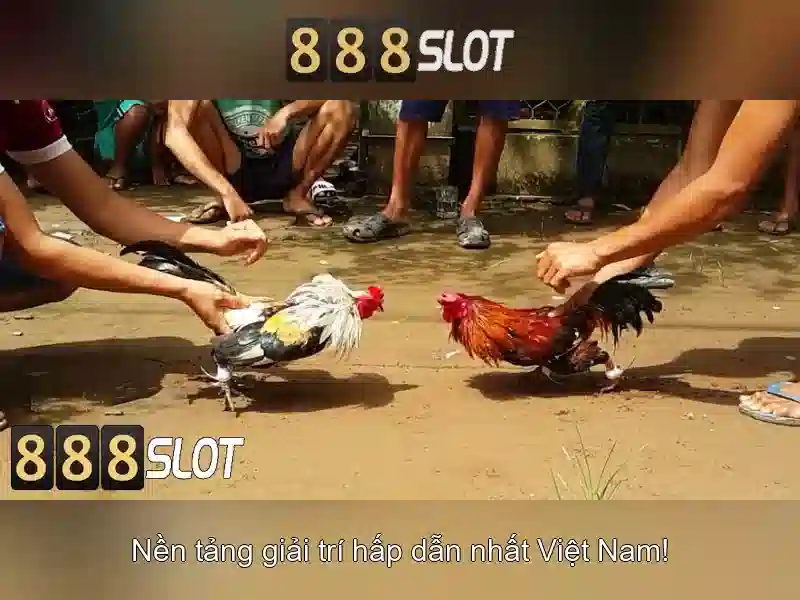 888slot: Đánh giá tổng quan về sòng bạc xèng trực tuyến