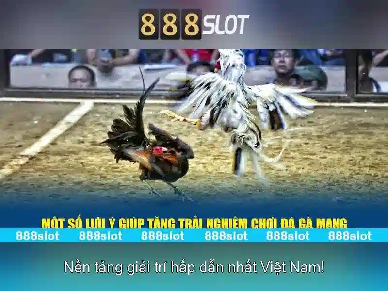 Đặc điểm nổi bật của 888slot