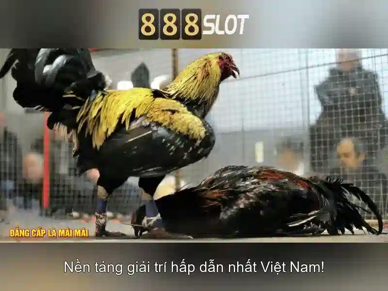 888slot - Nền tảng slot trực tuyến uy tín và đầy màu sắc