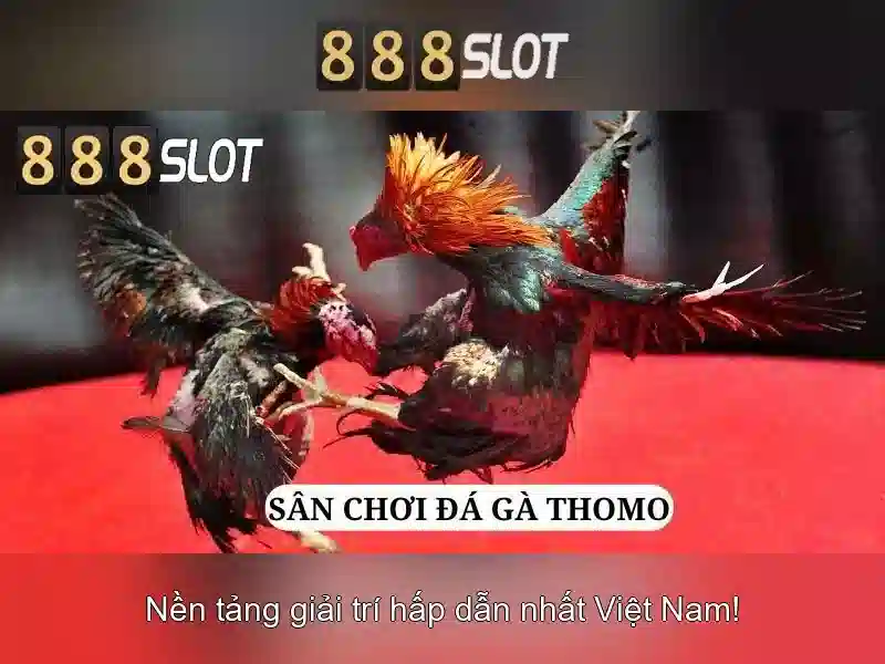 Đánh giá và dịch vụ khách hàng