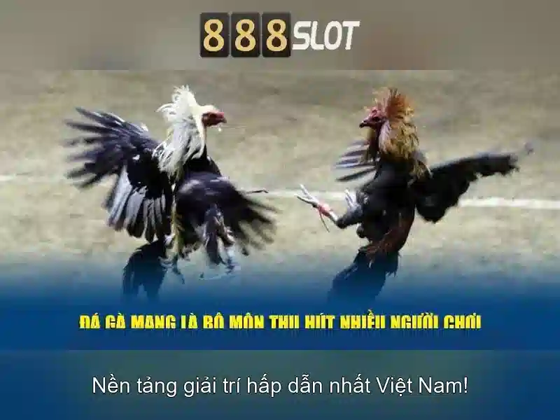 888slot - Trải nghiệm slots trực tuyến hàng đầu tại Việt Nam